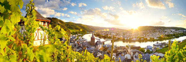 Mosel-Radweg individuell