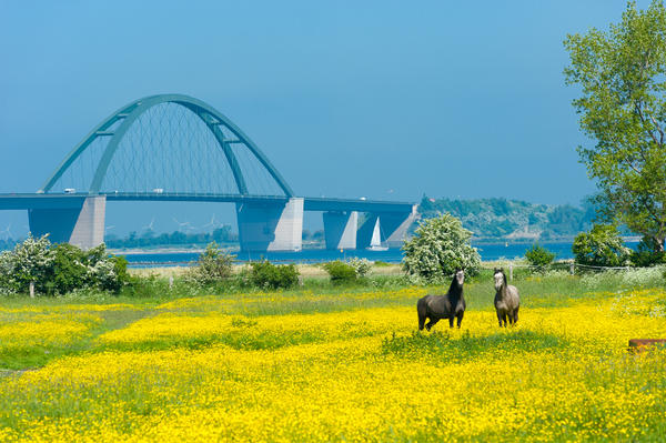 View toward the Fehmarnsund Bridge at the Baltic Sea