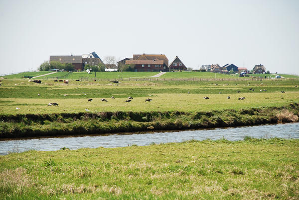 Dwellings on the Warft on the Hallig Hooge in north Friesland. The Halligen (singular Hallig) are ten small German islands without protective dikes in the North Frisian Islands (Germany)