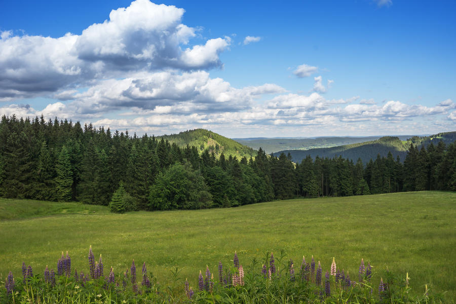 View of the Thuringian Forest, Germany