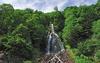 der Trusetaler Wasserfall Im Thüringer Wald