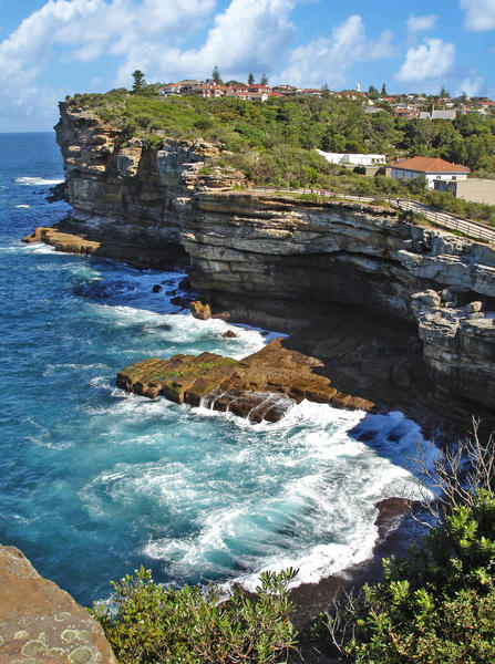Sydney cliffs