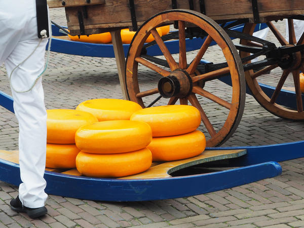 Famous market cheese on friday in Alkmaar