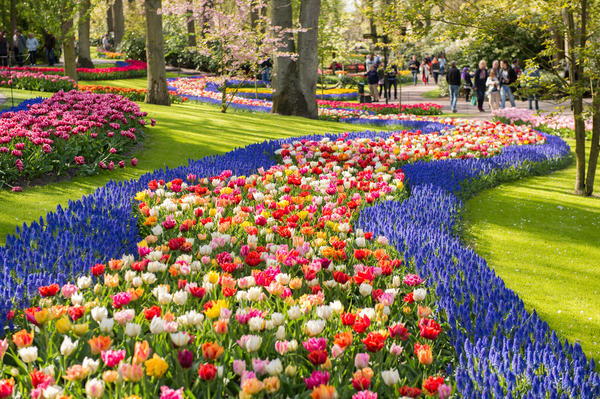 Keukenhof park in Netherlands