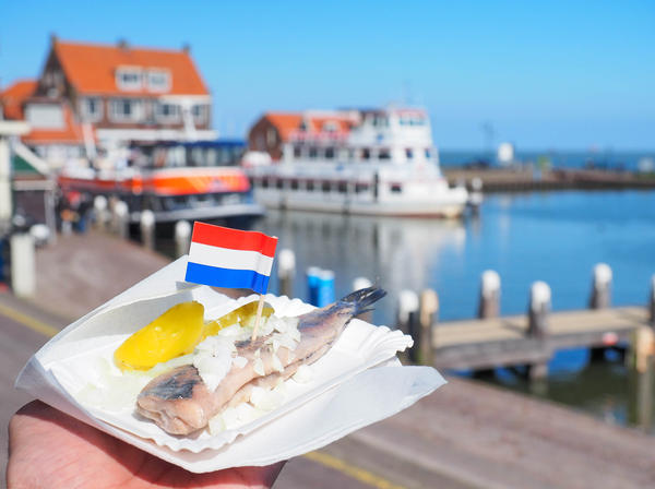 Raw herring traditional food in Netherlands