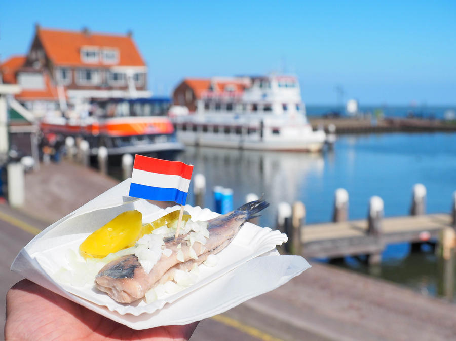 Raw herring traditional food in Netherlands
