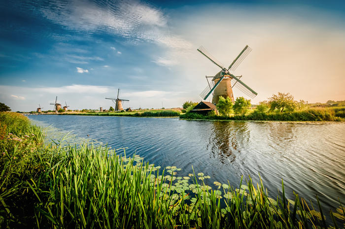 Flusskreuzfahrt Tulpenblüte