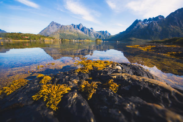 Classic norwegian scandinavian summer landscape with mountains, fjord, lake and a church, with a blue sky, Norway, Lofoten Islands