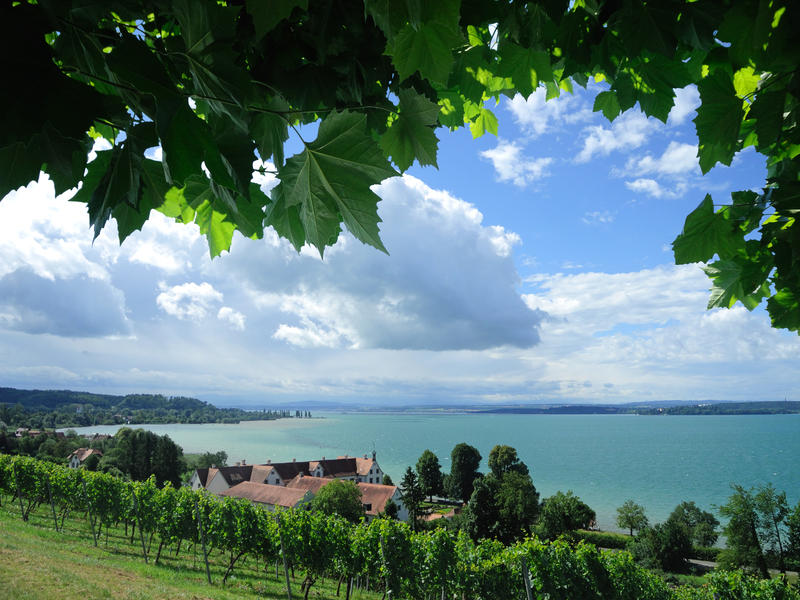 fantastic view over the Lake Constance near by Birnau
