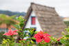 Flowers with traditional rural house in Santana, Madeira island, Portugal