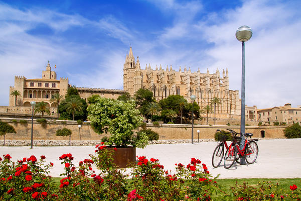 Majorca Cathedral and Almudaina from red flowers garden of  Palma de Mallorca