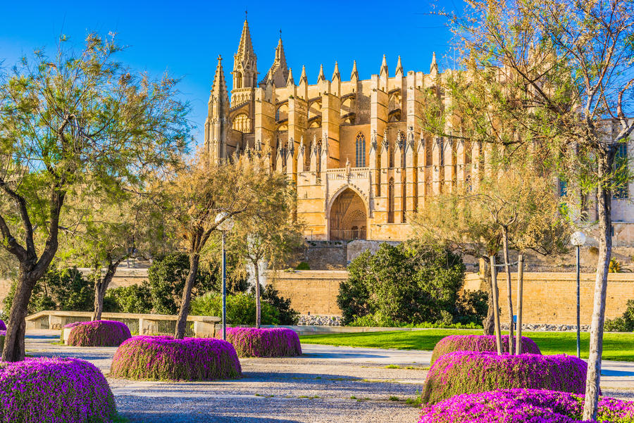 Flugreise Mallorca im Frühling