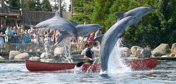 Dolfinarium Harderwijk