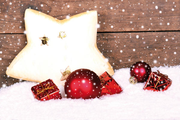 Weihnachtstern