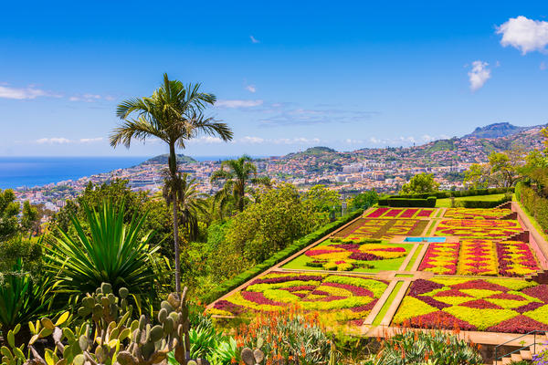 Madeira Flugreise