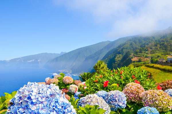 Madeira Flugreise