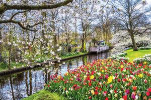 Zur Tulpenblüte nach Holland