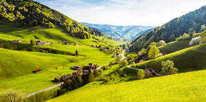 Facettenreicher Schwarzwald