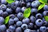 blueberry