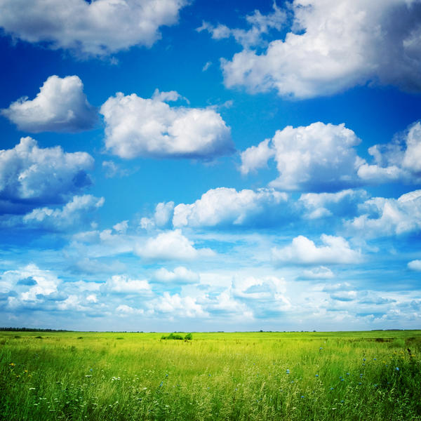green field and blue sky