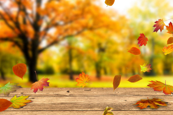 wooden table in front of a colorful autumn landscape