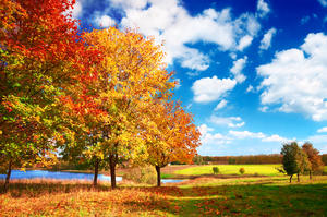 Saisonabschlussfahrt ins Blaue