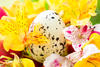 The easter egg